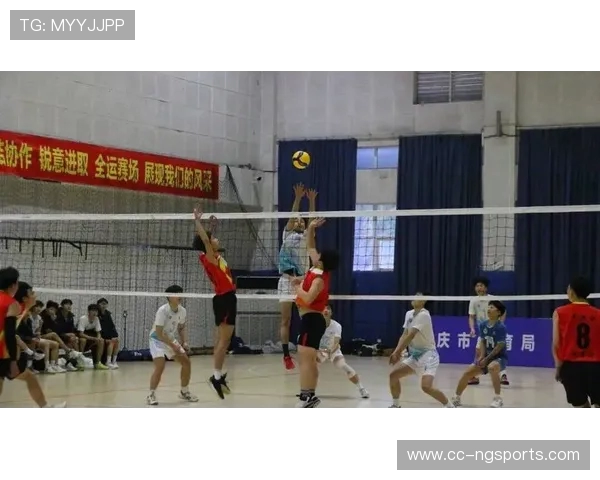 重庆排球队成长之路:挑战赛背后的拼搏与坚持 重庆排球队成长之路:挑战赛背后的拼搏与坚持